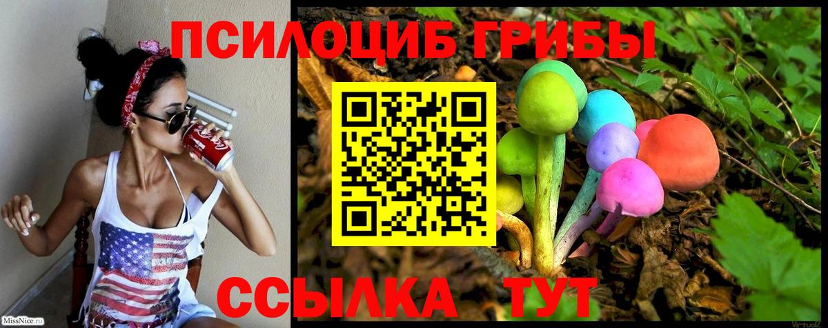 Ипатово  Галлюциногенные грибы ЛСД  Вход с VPN 